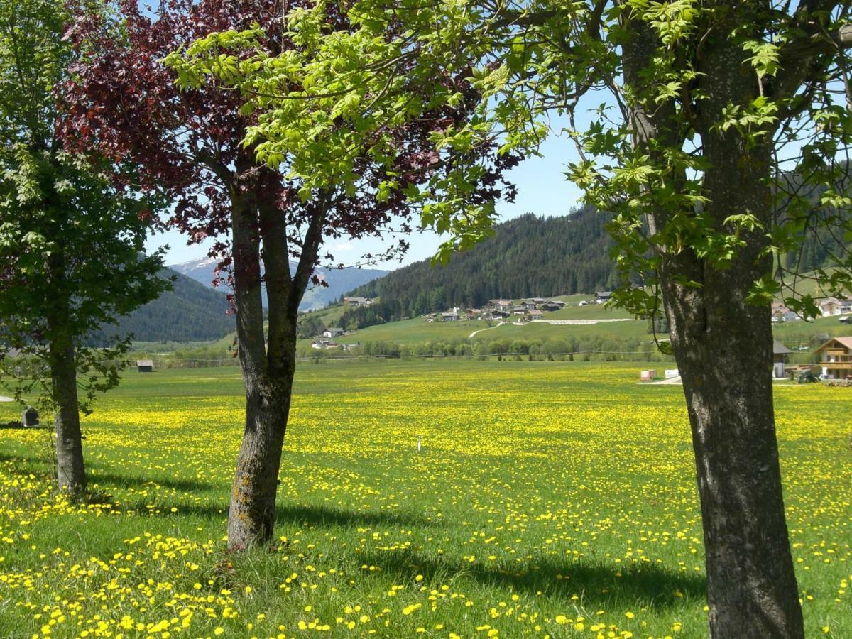 Faltnerhof Planca di Sopra 外观 照片